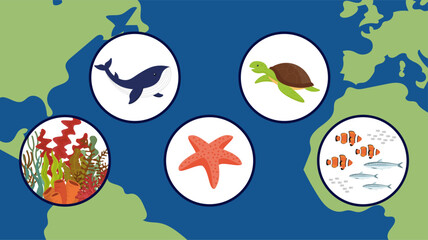 Sea life design over world map background, vector illustration 