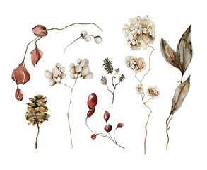 Watercolor floral beige set. Hand painted forest tree branches, berries, dried flowers, leaves, cones isolated on white background. Floral brown botanical clip art for design or print