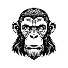 Chimpanzee  Vector Illustration