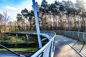 Bicycle and pedestrian bridge over highway towards Hoge Kempen national park, pines and bare trees in background sunny autumn day in As Limburg, Belgium - obrazy, fototapety, plakaty