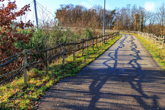 Empty bike lane between wooden fences, cables from cable-stayed bridge and bare trees in background, towards Hoge Kempen national park, sunny autumn day in As, Limburg, Belgium