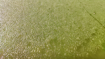 Abstract green background texture of frozen lake water or puddles in nature. Place for text, copy...