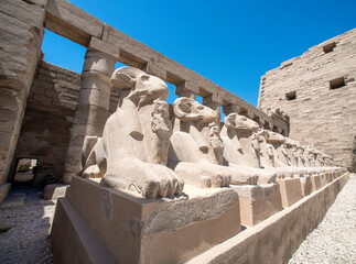 statues of many sheep in the Karnak temple in Luxor in Egypt