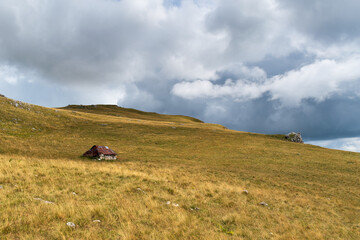 Obraz premium Old abandoned shepherd's hut in middle of pasture on slope of Vlasic mountain, walls made of stone and rusty metal sheets on roof