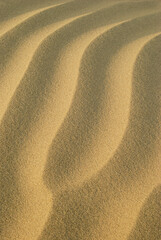 Sand pattern. Sand dunes. Background. Backdrop. Wallpaper.