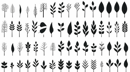set, collection of simple leaves and branches isolated on a white background, minimalism flat graphics for design, black and white style - obrazy, fototapety, plakaty