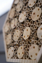 balkonpflanzen und Bienenhäuser