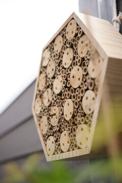 balkonpflanzen und Bienenh&auml;user