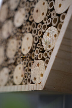 balkonpflanzen und Bienenh&auml;user