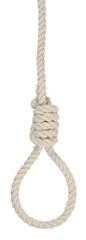 Rope noose for hangman, suicide made of natural fiber rope isolate on white background. Hemp rope noose for homicide or commit suicide concept. Hang rope knot for gallows and Hang mans real