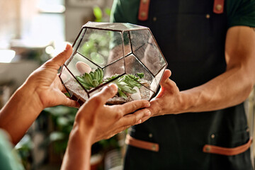 Proficiency in floristic. Close up of male and female hands holding glass terrarium with mini succulent garden. Multicultural flower store workers creating visually striking floral arrangement. - obrazy, fototapety, plakaty