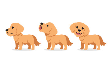 Set of vector cartoon character golden retriever dog for design.