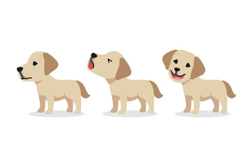 Set of vector cartoon character labrador retriever dog for design.