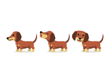 Set of vector cartoon character dachshund dog for design.