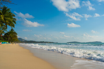 Sea beach wave white sand beach morning sunrise nature landscape