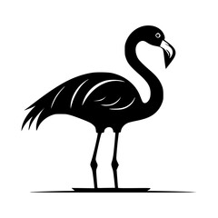 Flamingo  Vector Illustration
