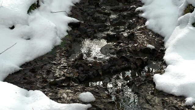 積雪の森を流れる湧き水