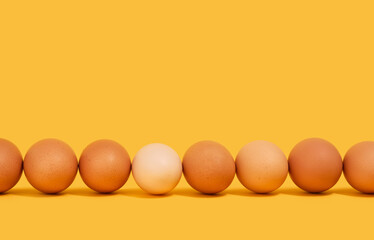 Fresh eggs lie in a row. Copy space for text. Healthy product for men and women.
