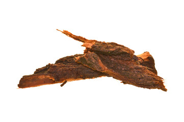 tree bark isolated on white background