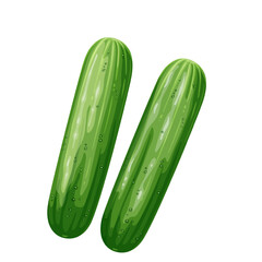 Cucumbers vector illustration. Cartoon isolated top view of two whole long green cucumbers, pair of fresh farm garden vegetables to cook healthy summer vitamin salad, vegetarian natural garnish