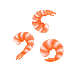 Raw headless shrimp set vector illustration. Cartoon isolated top view of peeled red tiger prawns with tails, fresh or frozen uncooked seafood without heads, wild shrimps for healthy gourmet nutrition