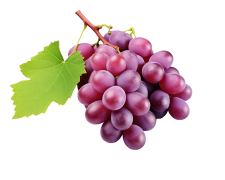 Ripe purple grape isolated on a transparent background