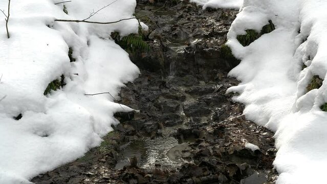 雪に覆われた森を流れる湧き水