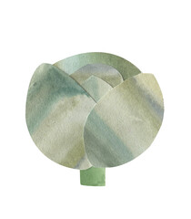 White cabbage with green leaf, applique cut from watercolor paper on a white background
