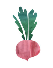 Beetroot, a healthy vegetable with vitamins Watercolor application ,illustration highlighted on a white background