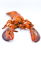 Boiled lobster isolated on white background