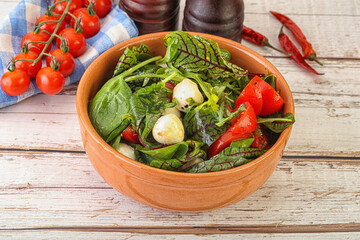Mix salad with mozzarella and tomato