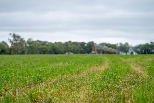 pivot irrigation in an agriculture field growing green food and grass on a farm in australia in spring