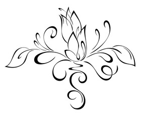 Decorative element with stylized flower buds, leaves and curls; graphic design