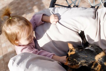 Little red-haired charming girl in the garden tries to pet a cat sitting on a garden chair