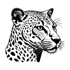 illustration of a leopard