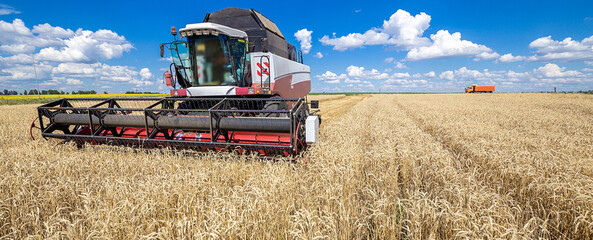 Agriculture. Combine Harvester Working in a Field on a Farm. Season Harvesting the Wheat.  - 705684999