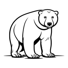 polar bear vector