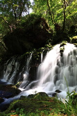 Fototapeta premium 滝