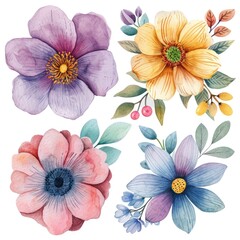 Set watercolor flowers isolated white background