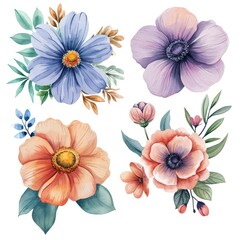 Set watercolor flowers isolated white background