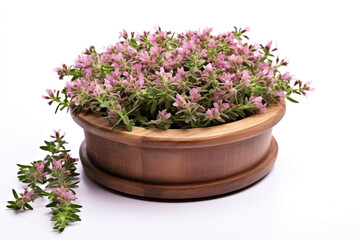 heap of thyme with flowers in wooden cup isolated on white background