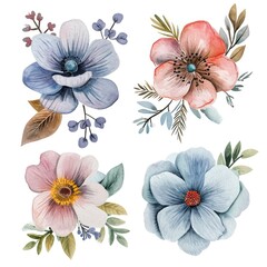 Set watercolor flowers isolated white background