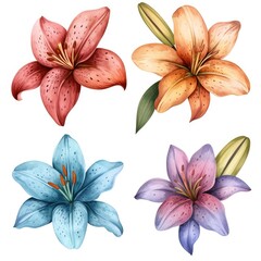 Set watercolor lily flowers isolated white background - obrazy, fototapety, plakaty