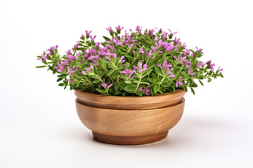 heap of thyme with flowers in wooden cup isolated on white background