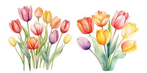 Cute Watercolor tulips pack