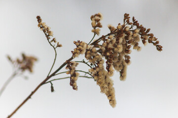 Winter Park with a Pond. Kyiv, Ukraine