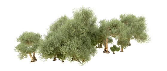 Green forest isolated on background. 3d rendering - illustration