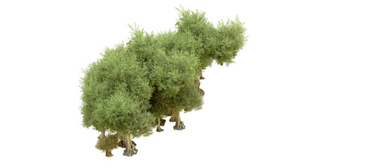 Green forest isolated on background. 3d rendering - illustration