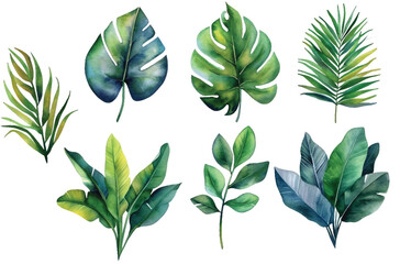 Set of tropical green leaves collection