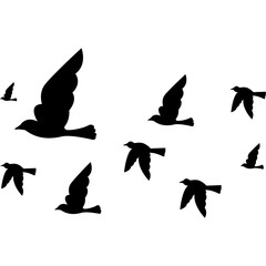 Bird Silhouette Vector